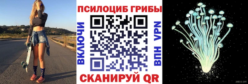 купить наркотик Ильский Псилоцибиновые грибы Cubensis